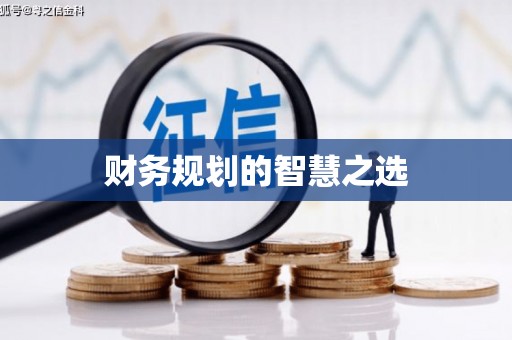 芳苑财务规划的智慧之选