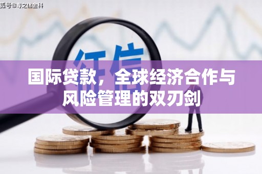 芳苑国际贷款，全球经济合作与风险管理的双刃剑