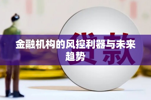 芳苑金融机构的风控利器与未来趋势