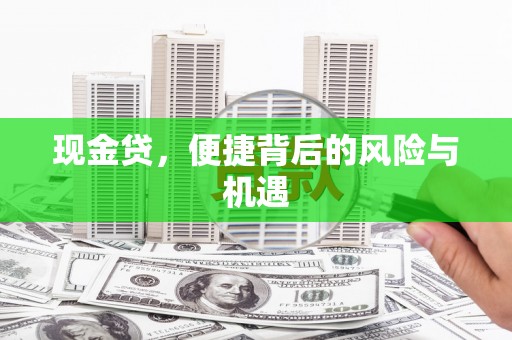 芳苑现金贷，便捷背后的风险与机遇