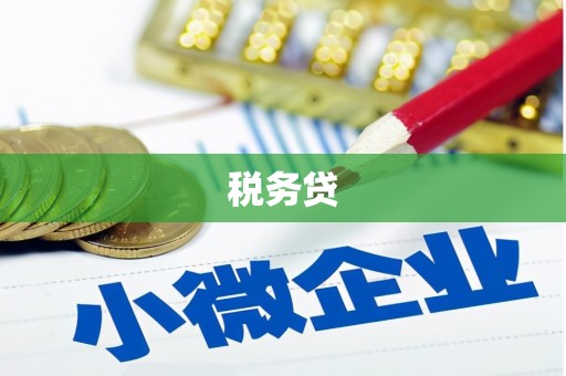 芳苑税务贷