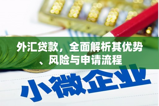 芳苑外汇贷款，全面解析其优势、风险与申请流程
