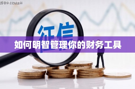 芳苑如何明智管理你的财务工具