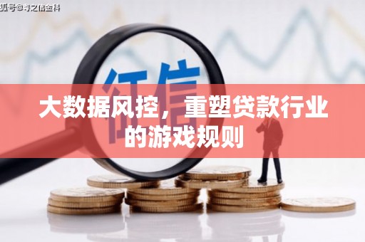芳苑大数据风控，重塑贷款行业的游戏规则