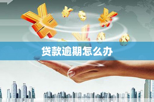 芳苑贷款逾期怎么办