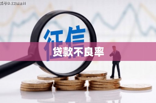 芳苑贷款不良率