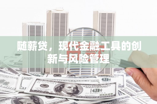 芳苑随薪贷，现代金融工具的创新与风险管理