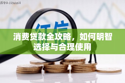 芳苑消费贷款全攻略，如何明智选择与合理使用