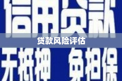 芳苑贷款风险评估