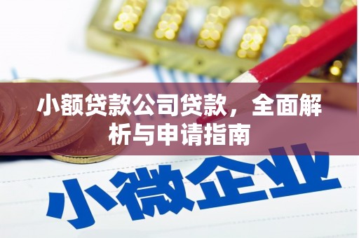 芳苑小额贷款公司贷款，全面解析与申请指南