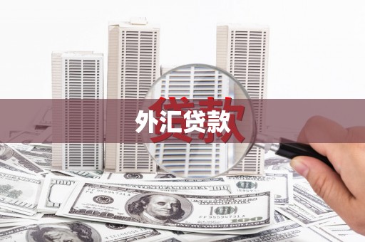 芳苑外汇贷款
