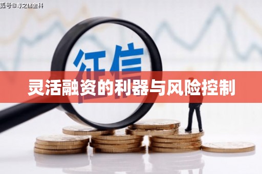 芳苑灵活融资的利器与风险控制