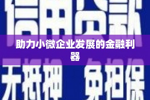 芳苑助力小微企业发展的金融利器