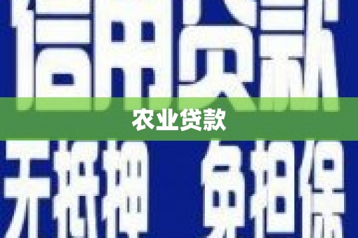 芳苑农业贷款