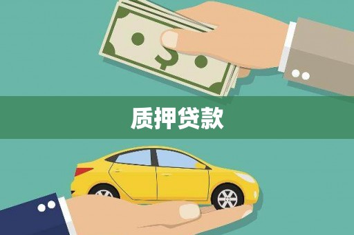 芳苑质押贷款