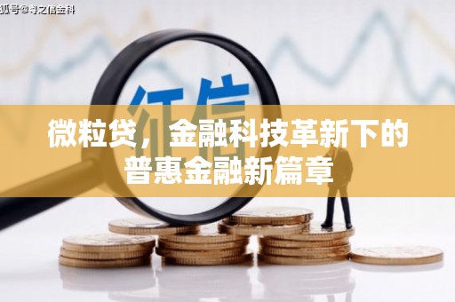 芳苑微粒贷，金融科技革新下的普惠金融新篇章