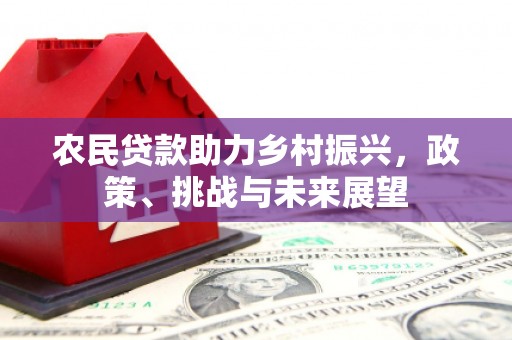 芳苑农民贷款助力乡村振兴，政策、挑战与未来展望