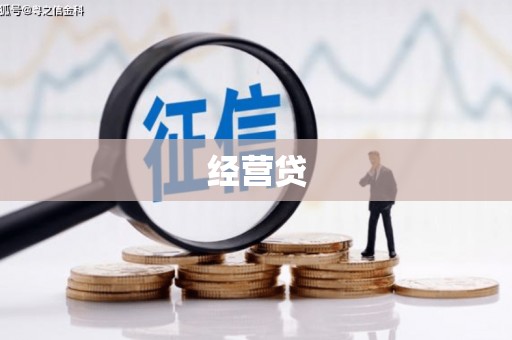 芳苑经营贷