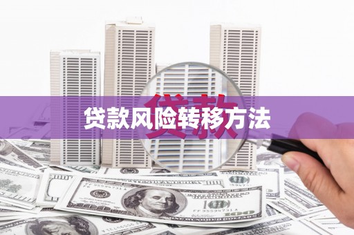 芳苑贷款风险转移方法