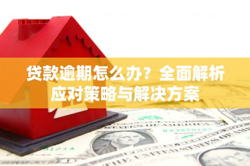 芳苑贷款逾期怎么办？全面解析应对策略与解决方案