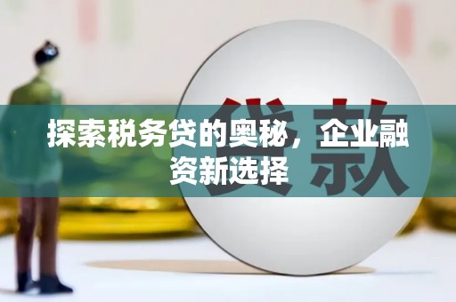 芳苑探索税务贷的奥秘，企业融资新选择