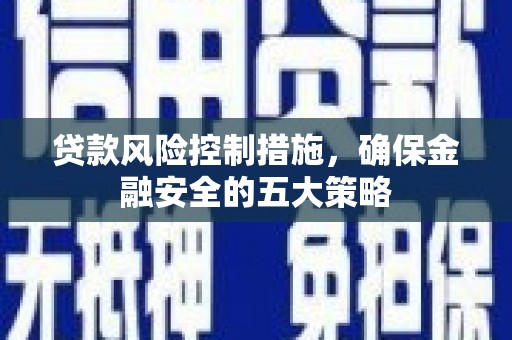 芳苑贷款风险控制措施，确保金融安全的五大策略