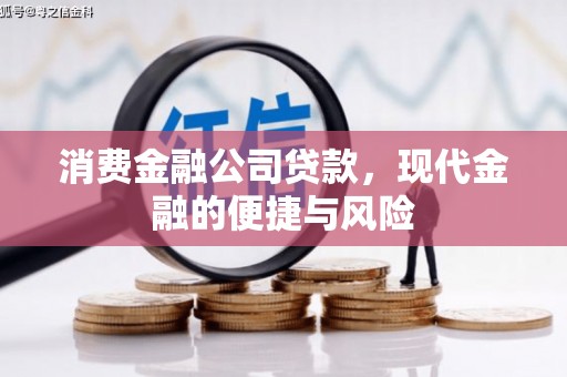 芳苑消费金融公司贷款，现代金融的便捷与风险