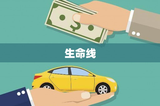 芳苑生命线