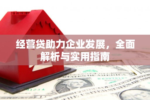 芳苑经营贷助力企业发展，全面解析与实用指南