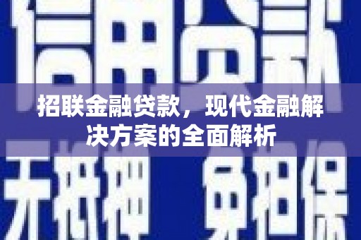 芳苑招联金融贷款，现代金融解决方案的全面解析