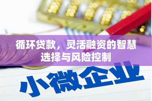 芳苑循环贷款，灵活融资的智慧选择与风险控制