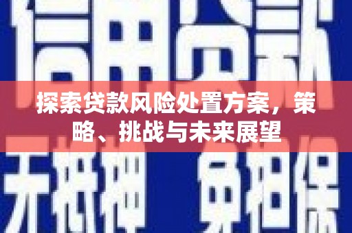 芳苑探索贷款风险处置方案，策略、挑战与未来展望