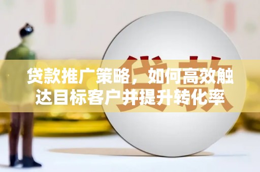 芳苑贷款推广策略，如何高效触达目标客户并提升转化率