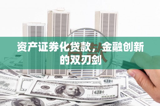 芳苑资产证券化贷款，金融创新的双刃剑