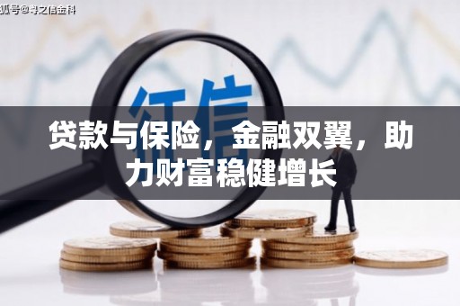 芳苑贷款与保险，金融双翼，助力财富稳健增长