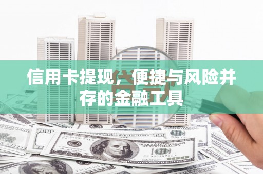 芳苑信用卡提现，便捷与风险并存的金融工具