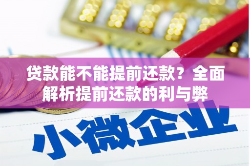 芳苑贷款能不能提前还款？全面解析提前还款的利与弊
