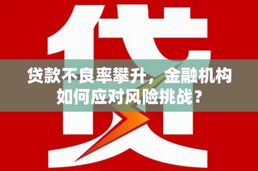 芳苑贷款不良率攀升，金融机构如何应对风险挑战？