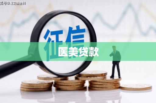 芳苑医美贷款