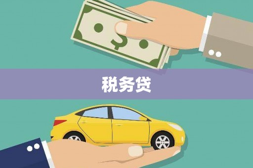 芳苑税务贷
