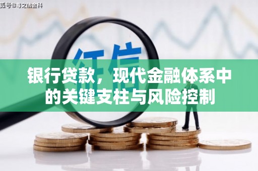 芳苑银行贷款，现代金融体系中的关键支柱与风险控制