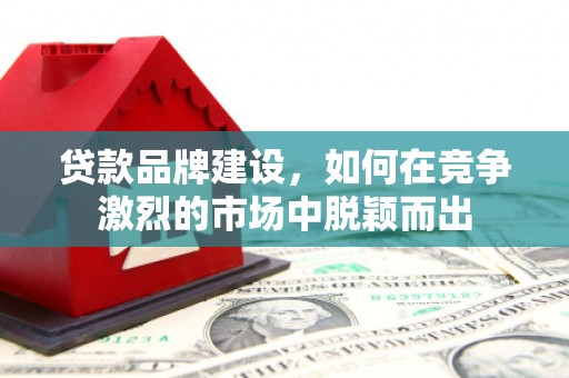 芳苑贷款品牌建设，如何在竞争激烈的市场中脱颖而出