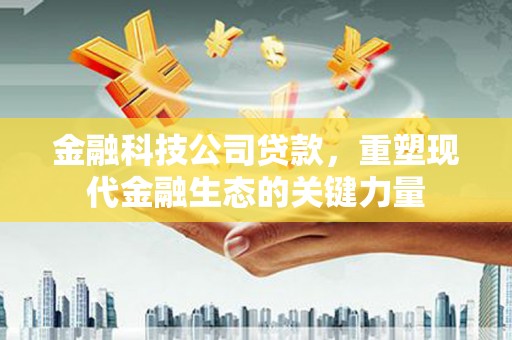 芳苑金融科技公司贷款，重塑现代金融生态的关键力量