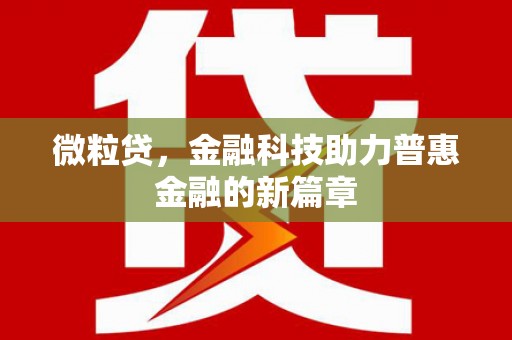 芳苑微粒贷，金融科技助力普惠金融的新篇章