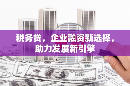 芳苑税务贷，企业融资新选择，助力发展新引擎