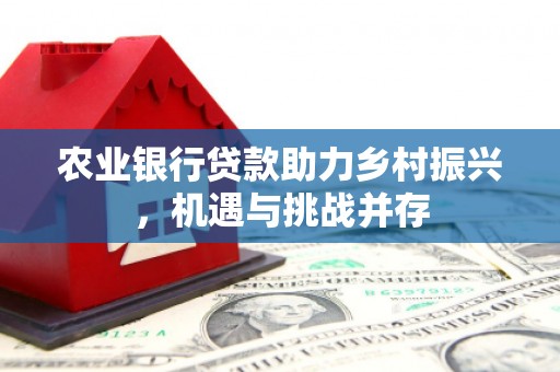 芳苑农业银行贷款助力乡村振兴，机遇与挑战并存