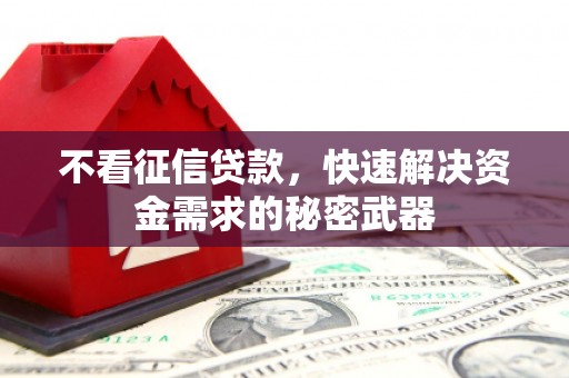 芳苑不看征信贷款，快速解决资金需求的秘密武器