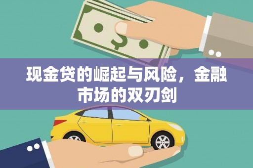 芳苑现金贷的崛起与风险，金融市场的双刃剑