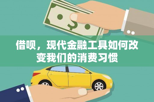 芳苑借呗，现代金融工具如何改变我们的消费习惯