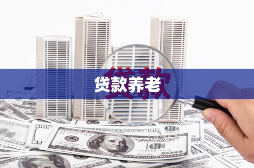 芳苑贷款养老